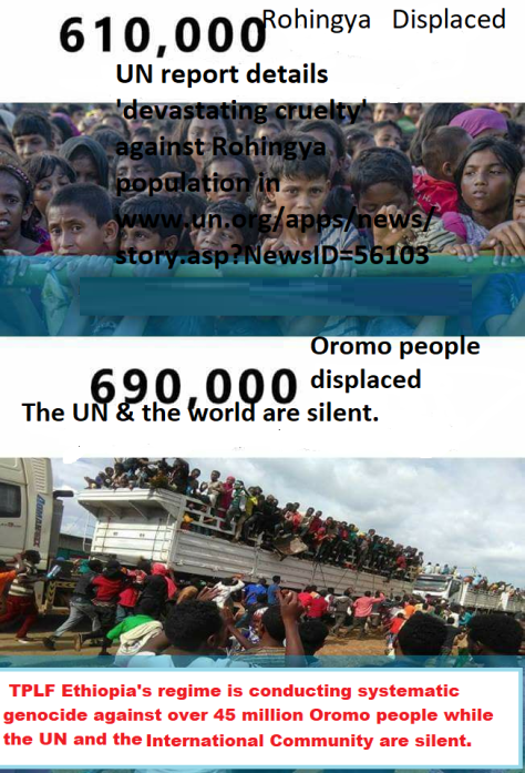 The UN is silent as over 45 million Oromo people are subjected to genocide