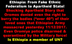 Ethiopia under TPLF rule is Apartheid&nbsp;state