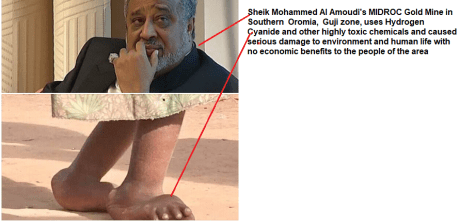 Sheik Mohammed Al Amoudi and MIDROC Gold Mine in Southern Oromia, Guji zone, uses Hydrogen Cyanide and other highly toxic chemicals and caused serious damage to environment and human life.png