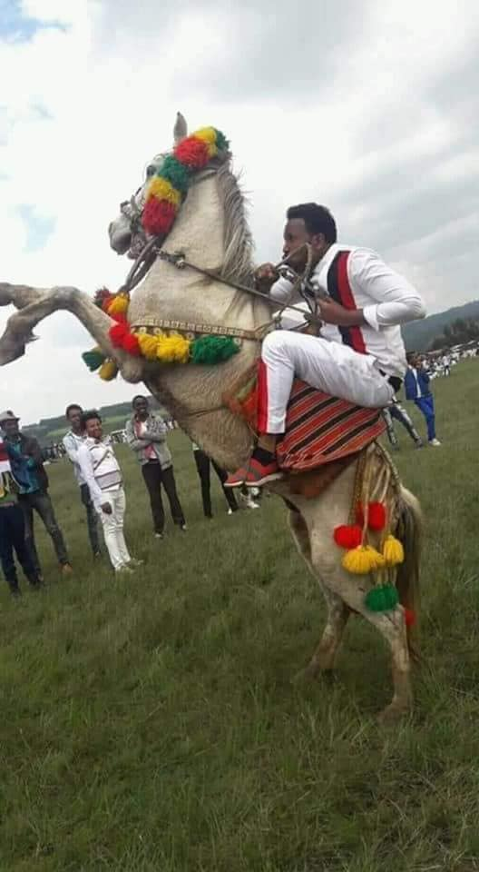   Irreecha Birraa Oromoo Malkaa Ateetee Celebration and Oromo Horse Man on Sunday  8th October  2018 in Buraayyuu, Oromia.png